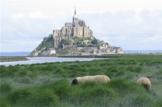 Les Tricots Saint James prennent leurs racines au pied du Mont Saint Michel