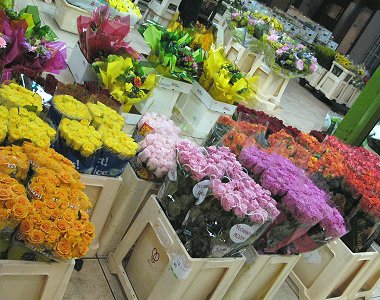 Le marché aux fleurs de Rungis