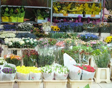 Le marché aux fleurs de Rungis