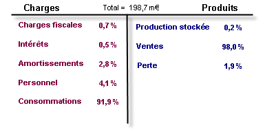 Compte de r&eacute;sultat 2003 d'une entreprise de e-commerce