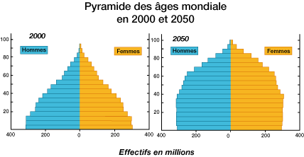 Pyramide des âges
